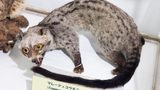 『ブティック』池井戸潤｜知らなかったM&Aの世界がそこにあった