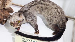 『ブティック』池井戸潤｜知らなかったM&Aの世界がそこにあった